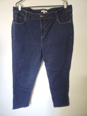 Woman Within Blue Jeans Sizw 22W Petite